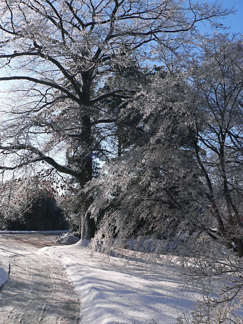 Broad Brook, CT: After the Ice Storm - Broad Brook, CT