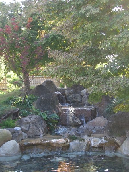 San Antonio, TX: Japanese Garden, San Antonio