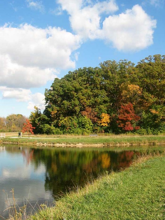 Perrysburg, OH: WW Knight Nature Preserve in the Fall