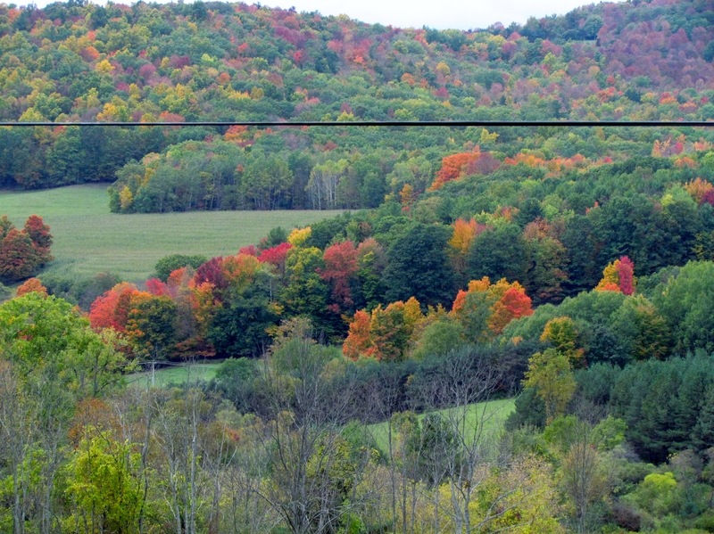 Canisteo, NY: canisteo