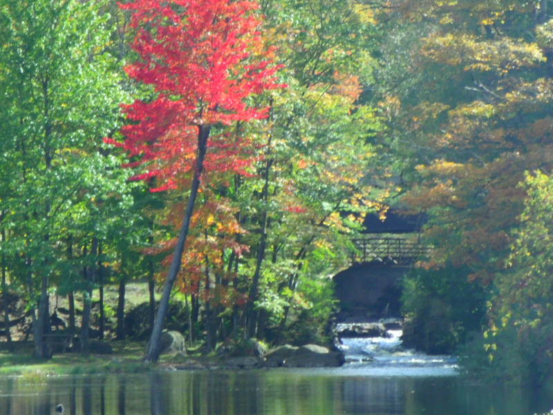 Harrisville, NY: Harrisville New York a view of our park come enjoy