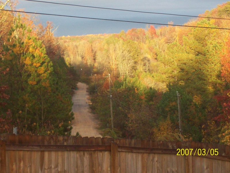 Margaret, AL: Fall 2011 In The Valley On Polly Ridge Rd. From My Back Porch