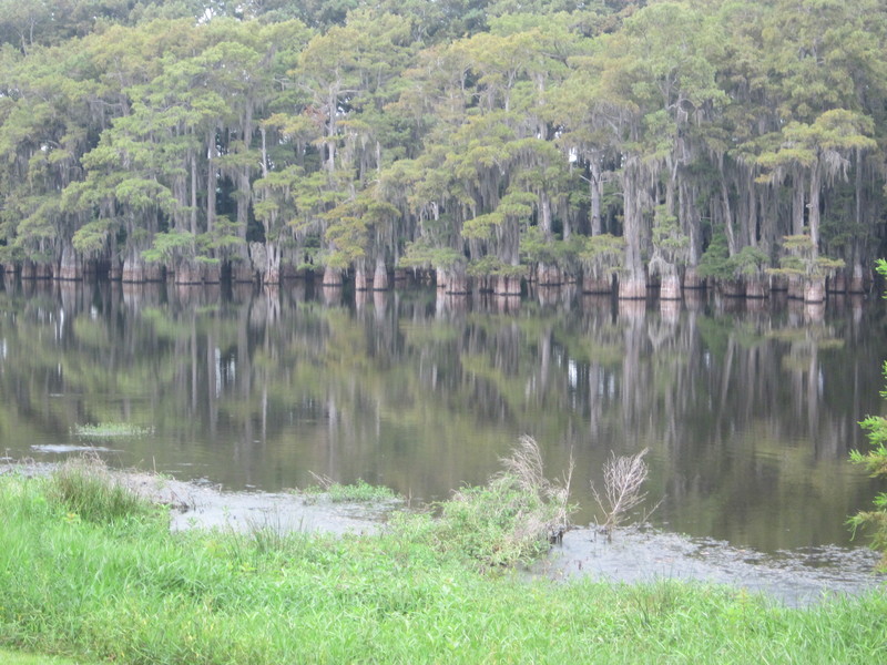 Wilmot, AR: Lake Enterptise