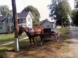 Montgomery, MI: An Amish Buggy parked by the Hunting store.