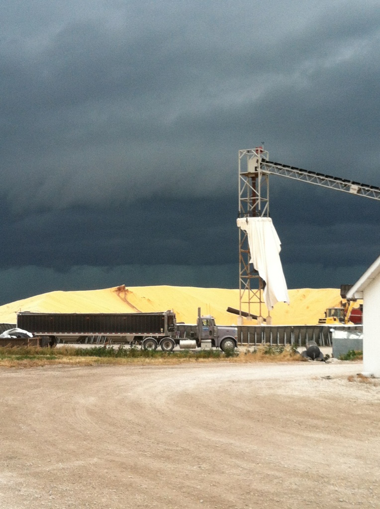 Dayton, IA: Fc Coop corn pile