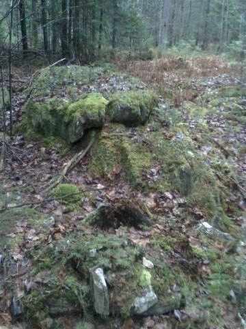 Burnham, ME: Can you see the old man? Taken in the woods by my home on winnecook