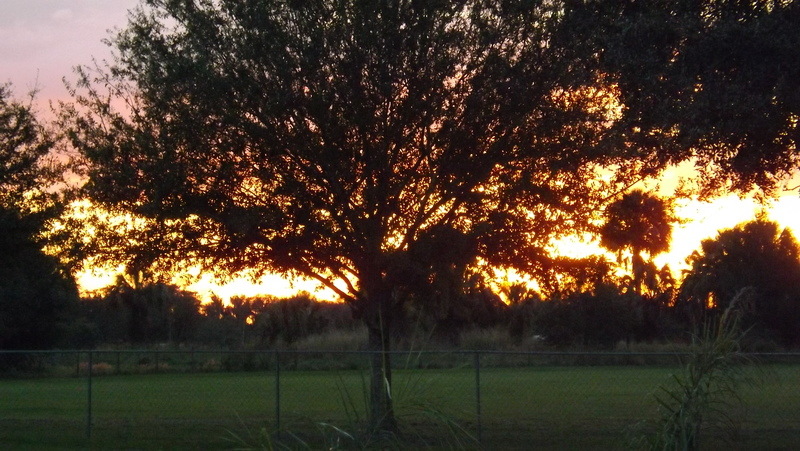 Zolfo Springs, FL: Sunset in Zolfo