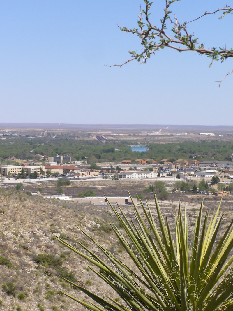 Carlsbad, NM: View of Carlsbad from Living Desert Zoo