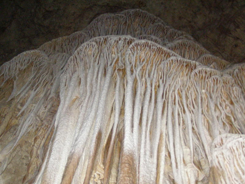 Carlsbad, NM: Big Room Draperies in Carlsbad Caverns, NM