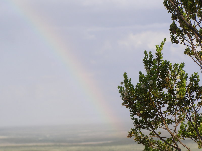 Carlsbad, NM: Rainbow over the desert at Carlsbad Caverns National Park, NM