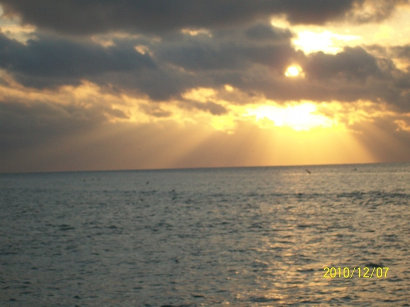 Key West, FL: Key West sunset
