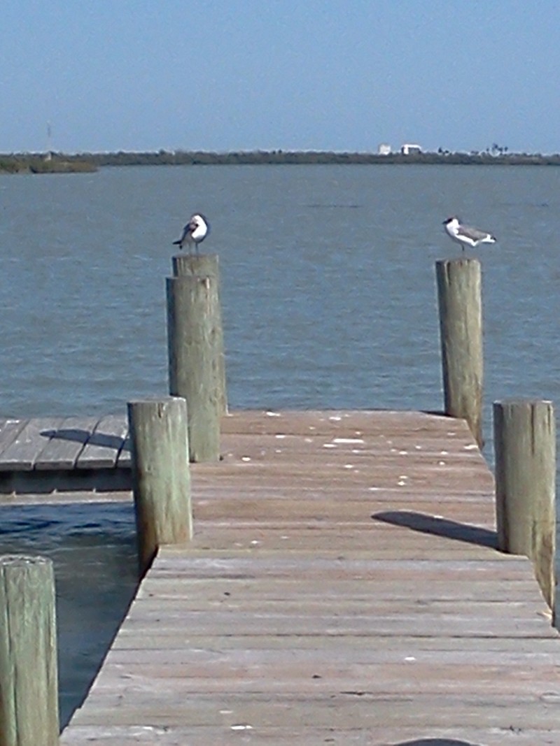 Fort Pierce, FL: on the coast of somewhere beautiful....inlet dock