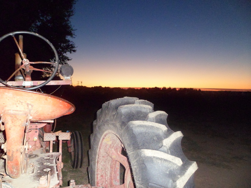 Clarksburg, CA: Tractor in sunset - Clarksburg CA