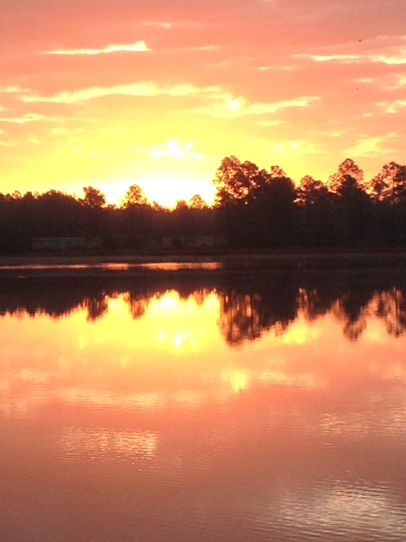 Folkston, GA: Sunrise on a Folkston lake. Lake Paxton. January 12, 2013