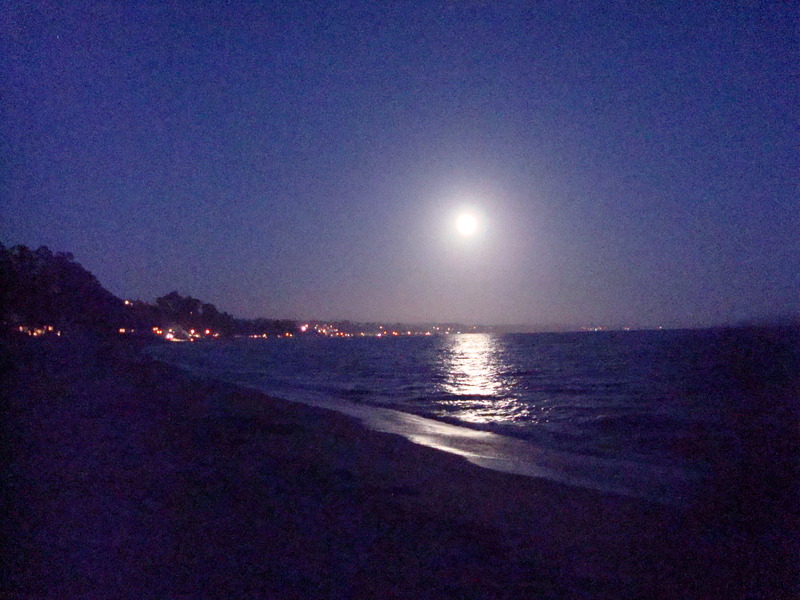 Capitola, CA: New Brighton State Beach- 4th of July 2012