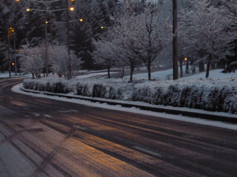 DuPont, WA: Snow on Palisade Blvd.