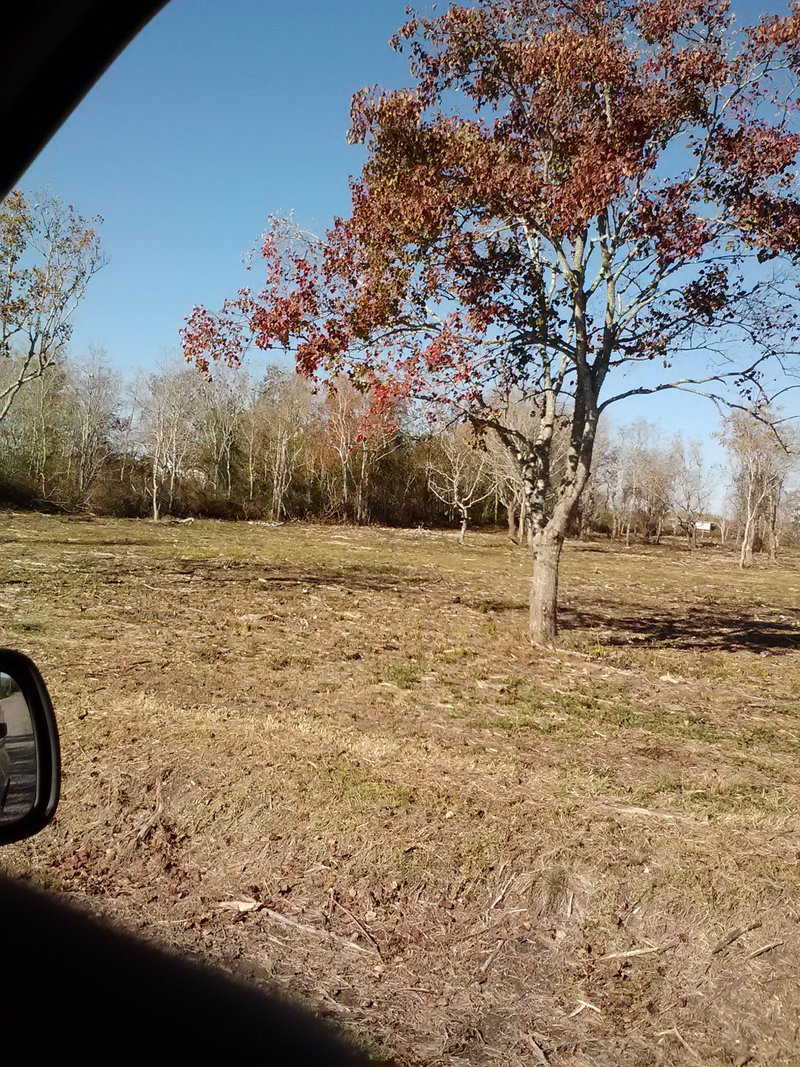 San Leon, TX ave L between 24 25 street san leon texas 77539 photo