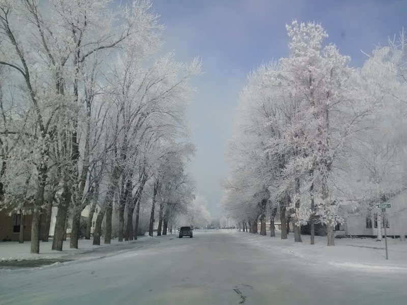 McVille, ND main st mcville n.d , a day of hoarfrost photo, picture