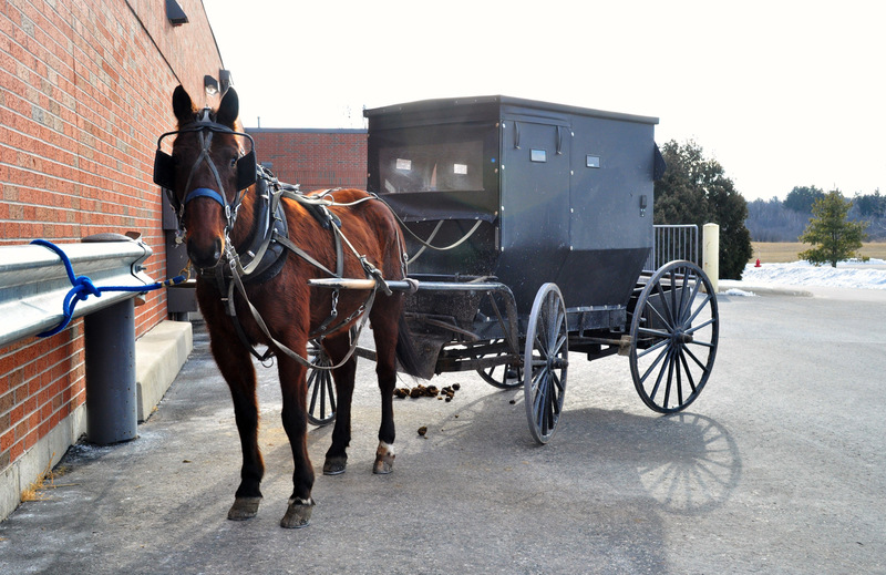 Tomah, WI: Amish Driving
