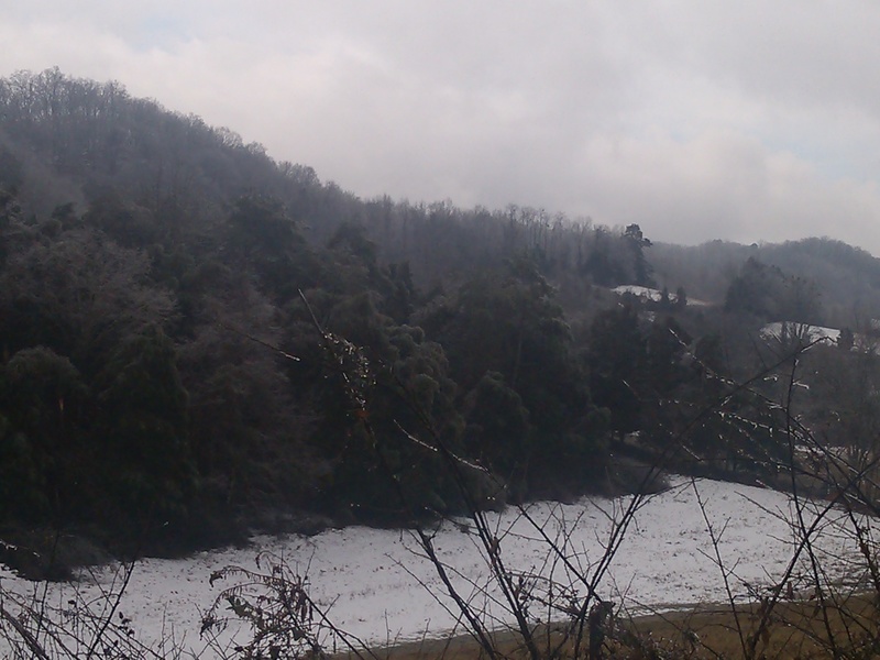 Maynardville, TN my home photo, picture, image (Tennessee) at city