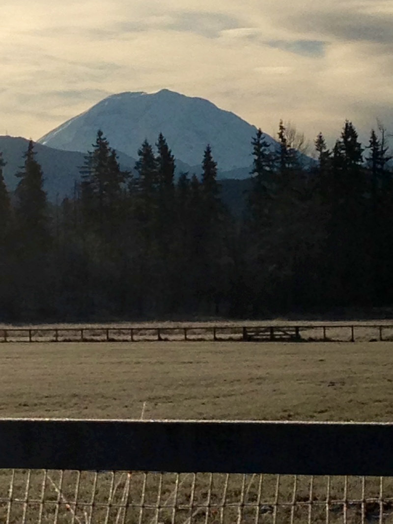 Enumclaw, WA: Lucky to live in the Claw!