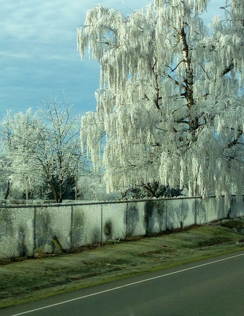 Enumclaw, WA: Lucky to live in the Claw!