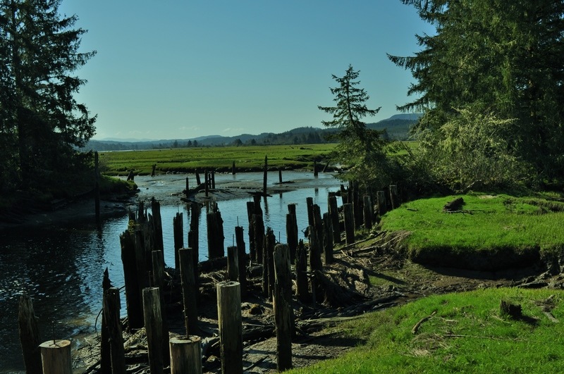 Naselle, WA Naselle River photo, picture, image (Washington) at city