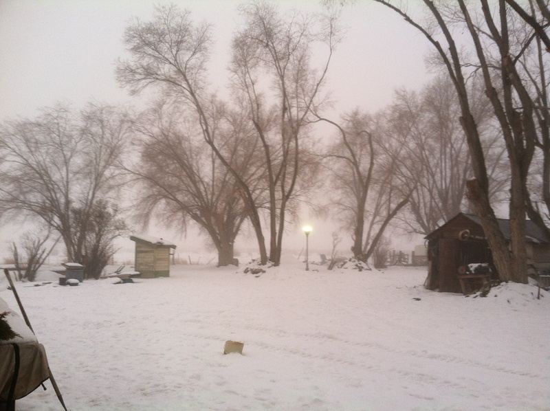 Snowville, UT: Beautiful snowy day in Snowville.