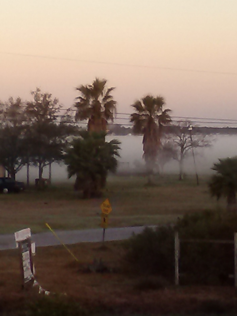 San Leon, TX san leon. fm 517 photo, picture, image (Texas) at city