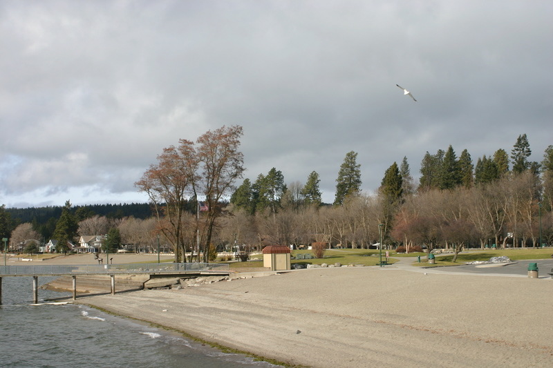 Coeur d ID : town shore photo picture image (Idaho) at city data com