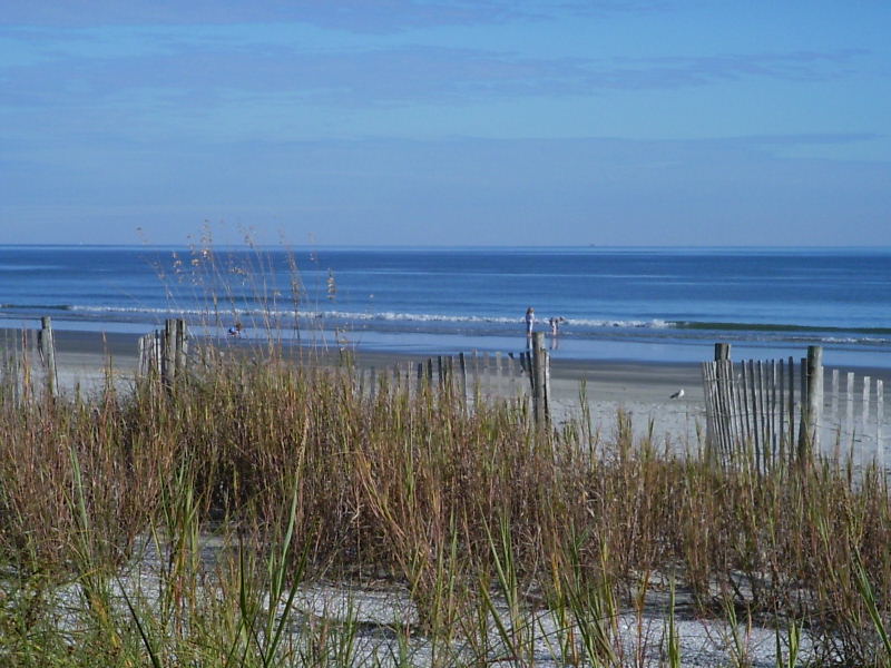 North Myrtle Beach, SC: Beach in November