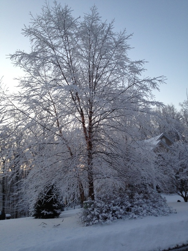 Montebello, NY: After Snow