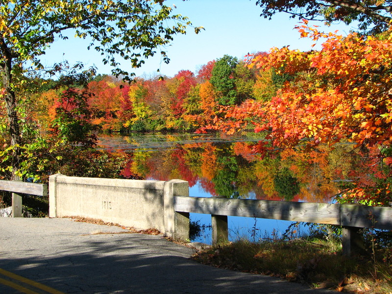 Norfolk, MA: Bush Pond in Fall, Norfolk, MA