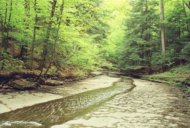 Moravia, NY: Lazy river toward the falls