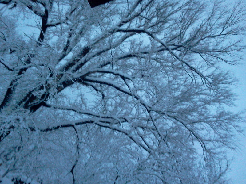 Arma, KS: Outside my front door, a beautiful landscape after a fresh snow in Arma