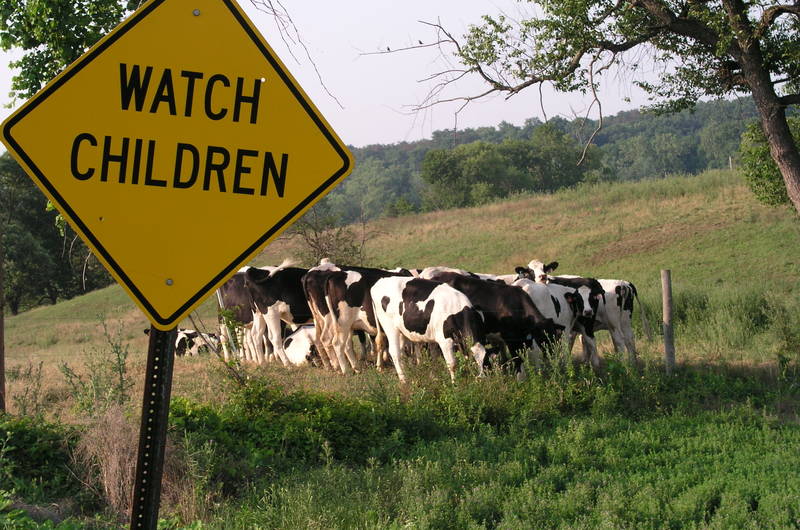 Greencastle, PA: Agriculture is a big business around Greencastle.