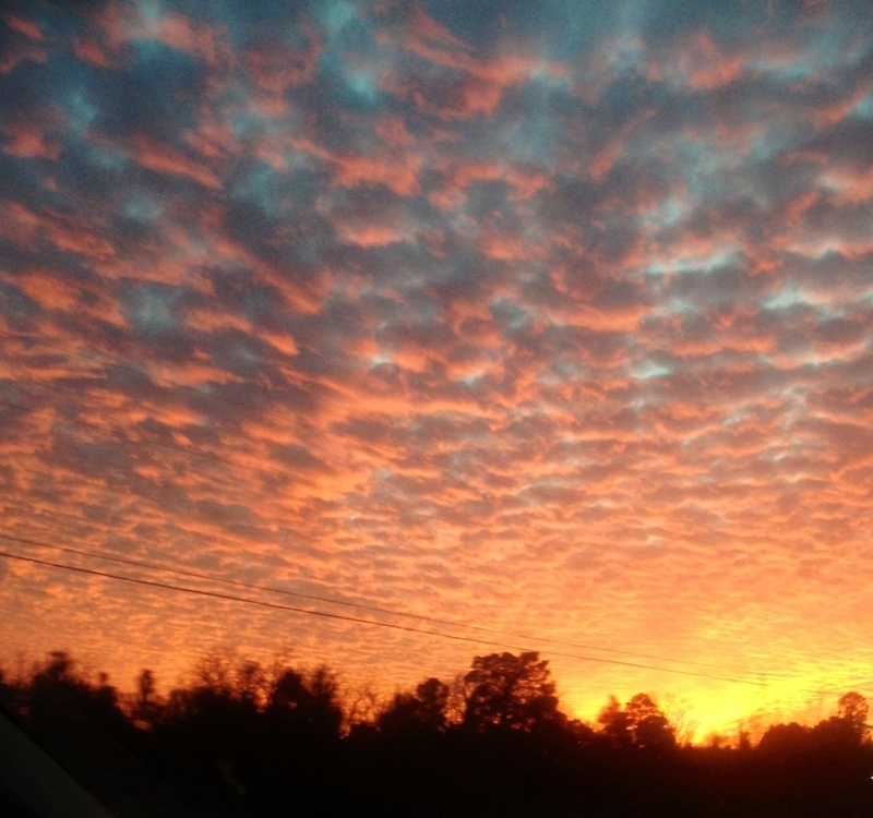 Baxley, GA: Evening Bliss