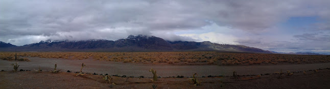 Amargosa Valley, NV: This our front yard in Amargosa Valley. Wide Open Spaces!
