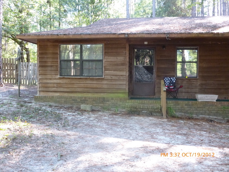 Reidsville, GA: my house in the woods