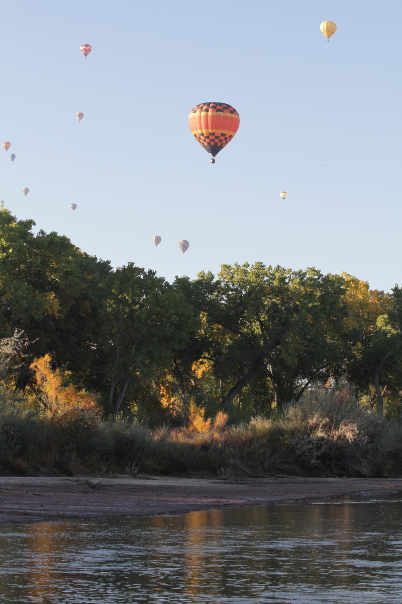 Corrales, NM: Balloons over Rio Grande in Corrales