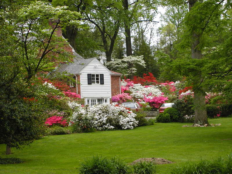 Falls Church, VA : A large house behind the Library Falls Church photo ...