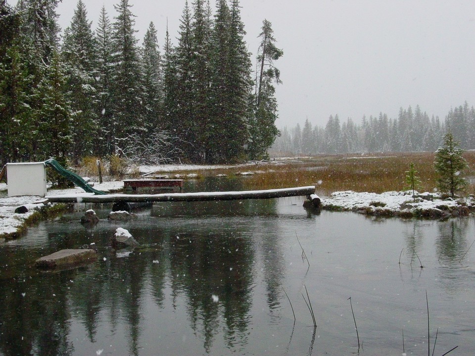 Island Park, ID : Buffalo River, Thelin Homestead photo, picture, image