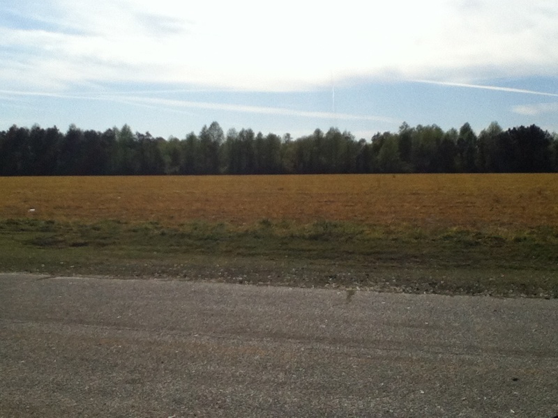 Doerun, GA Field across the street from my house in Doerun photo