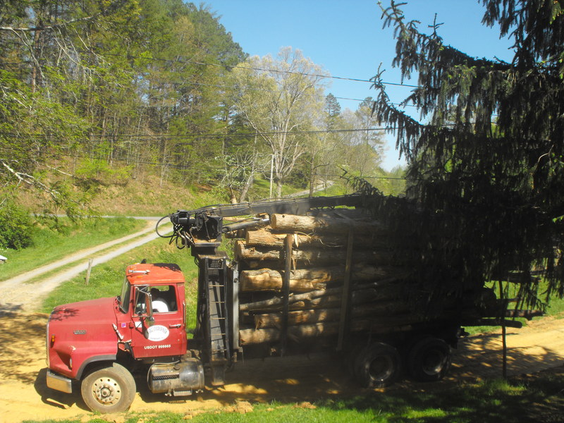 Turtletown, TN: Timber cutting is a trade in Turtletown that support families. I had my timber cut on my property. As a person goes to work a person will need to leave early in order to avoid the log trucks.