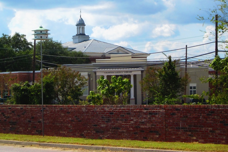 St. Matthews, SC: Calhoun County Library and Courthouse
