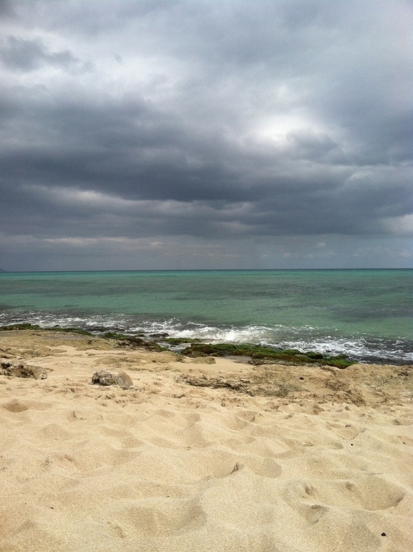 Ewa Beach, HI: This photo was taken at haubush, it wasn't too sunny but the water super clear!