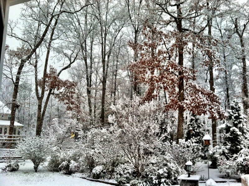 Laurel, VA: March Snowfall -2013
