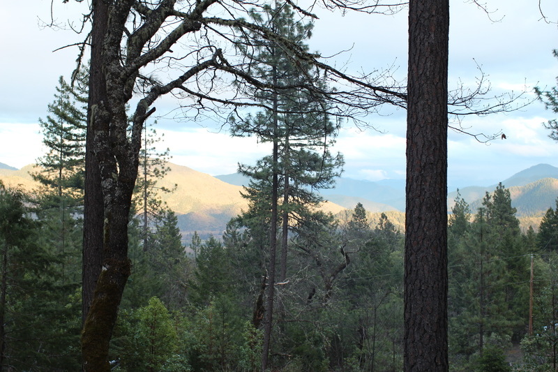 Williams, OR: View from a Pennington Mountain home.