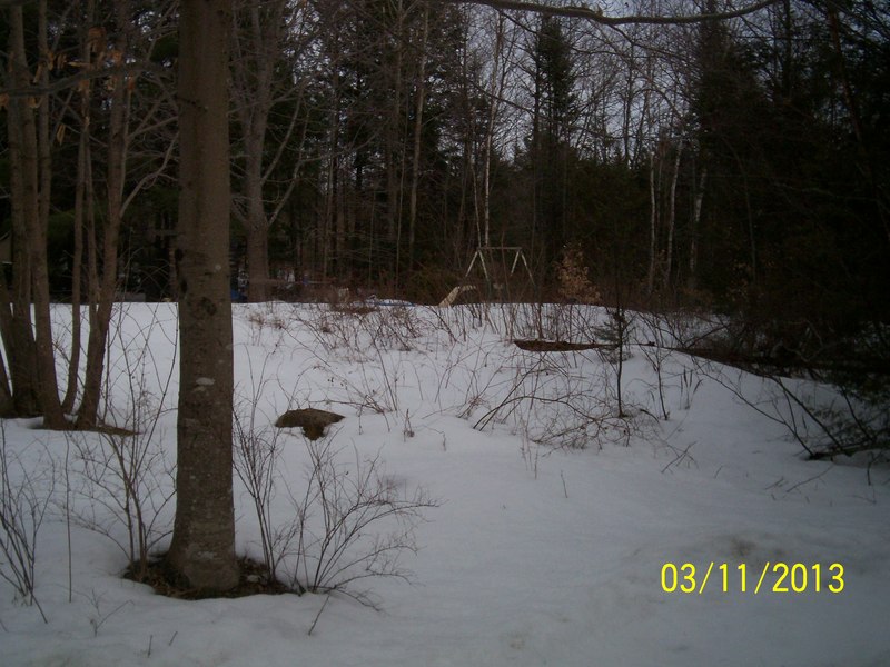 Lowell, ME part of my yard on Dicks Lane, Rt. 188 Lowell Maine 3/11