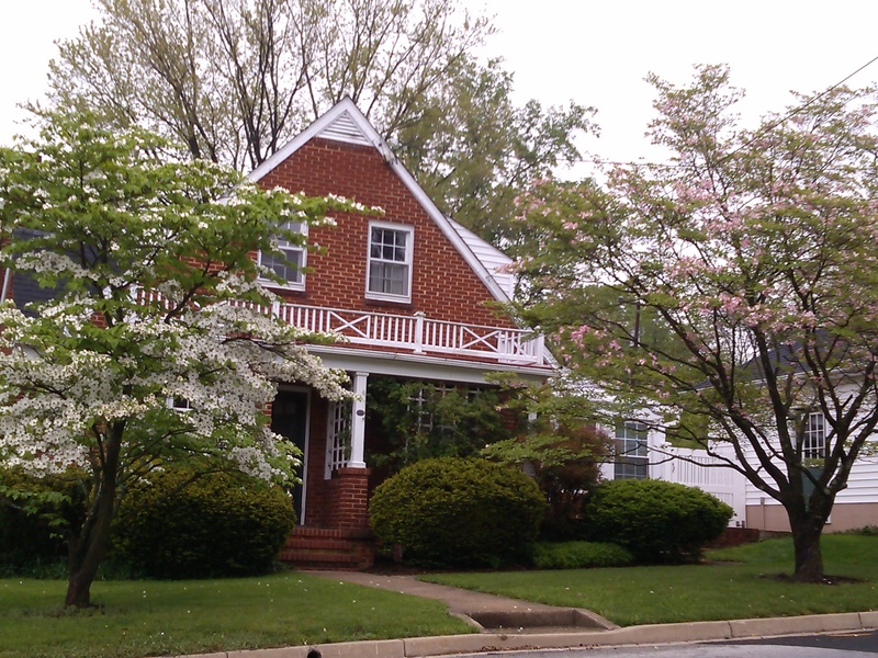 Staunton, VA: one of many beautiful homes and trees